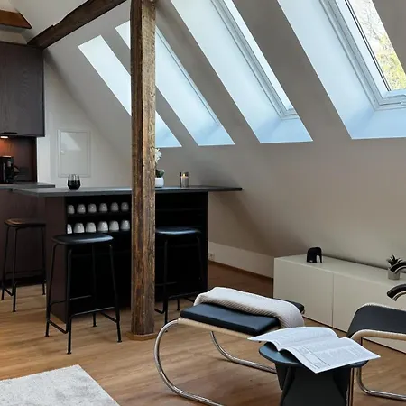 City-apartment In Bester Lage Munster (North Rhine-Westphalia)