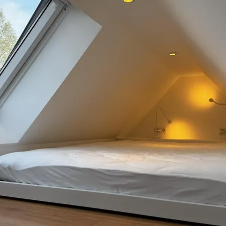 Appartement City-apartment In Bester Lage Munster (North Rhine-Westphalia)