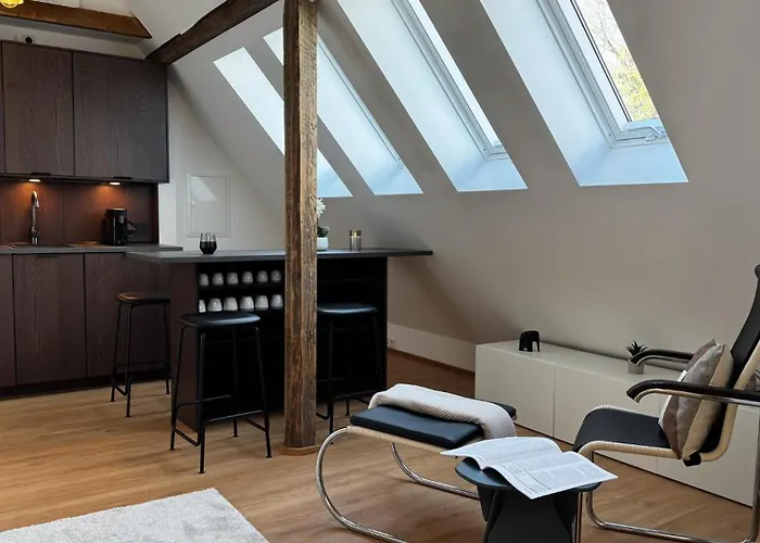 City-apartment In Bester Lage Munster (North Rhine-Westphalia)