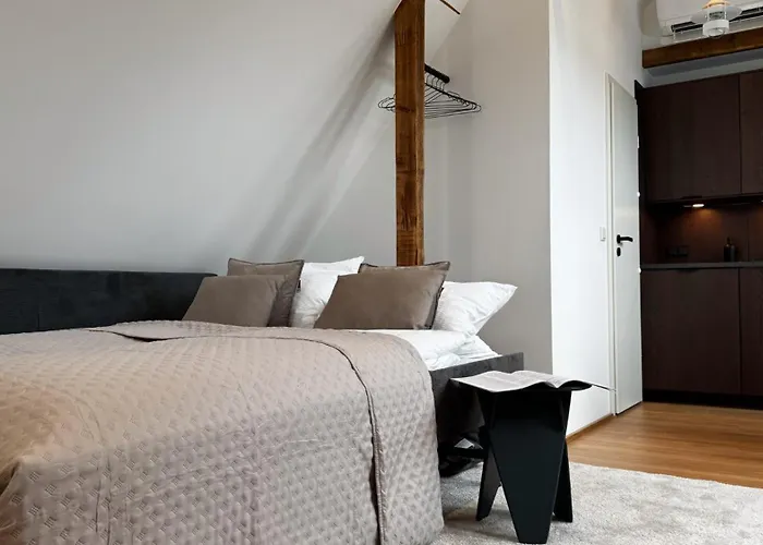 Lägenhet City-apartment In Bester Lage Munster (North Rhine-Westphalia)