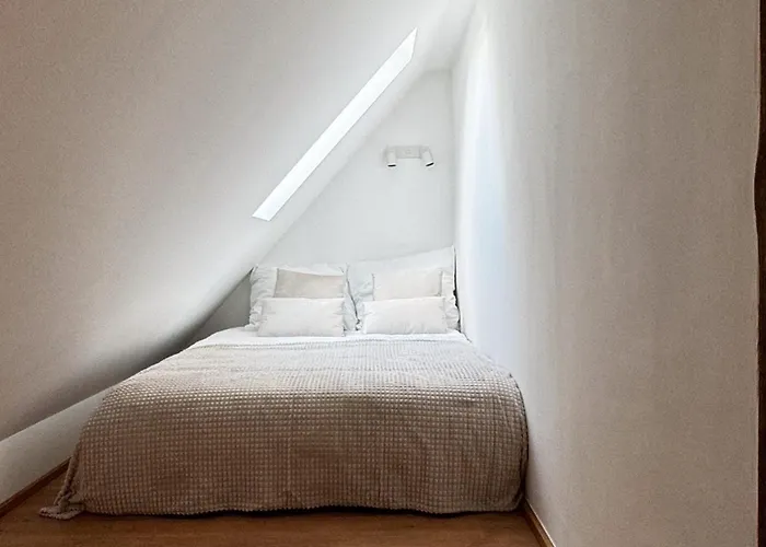 Lägenhet City-apartment In Bester Lage Munster (North Rhine-Westphalia)