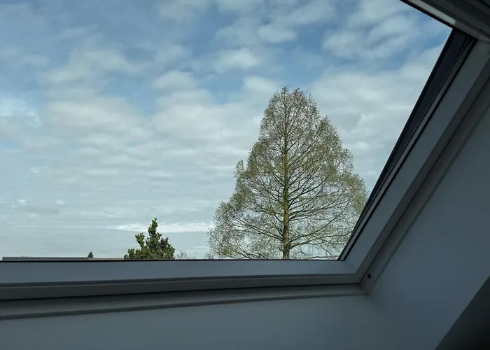 Apartment City-apartment In Bester Lage